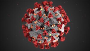 corona virus in india